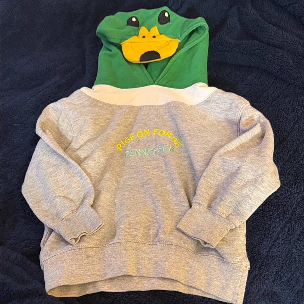 Kids Green Frog Hoodie Sweatshirt